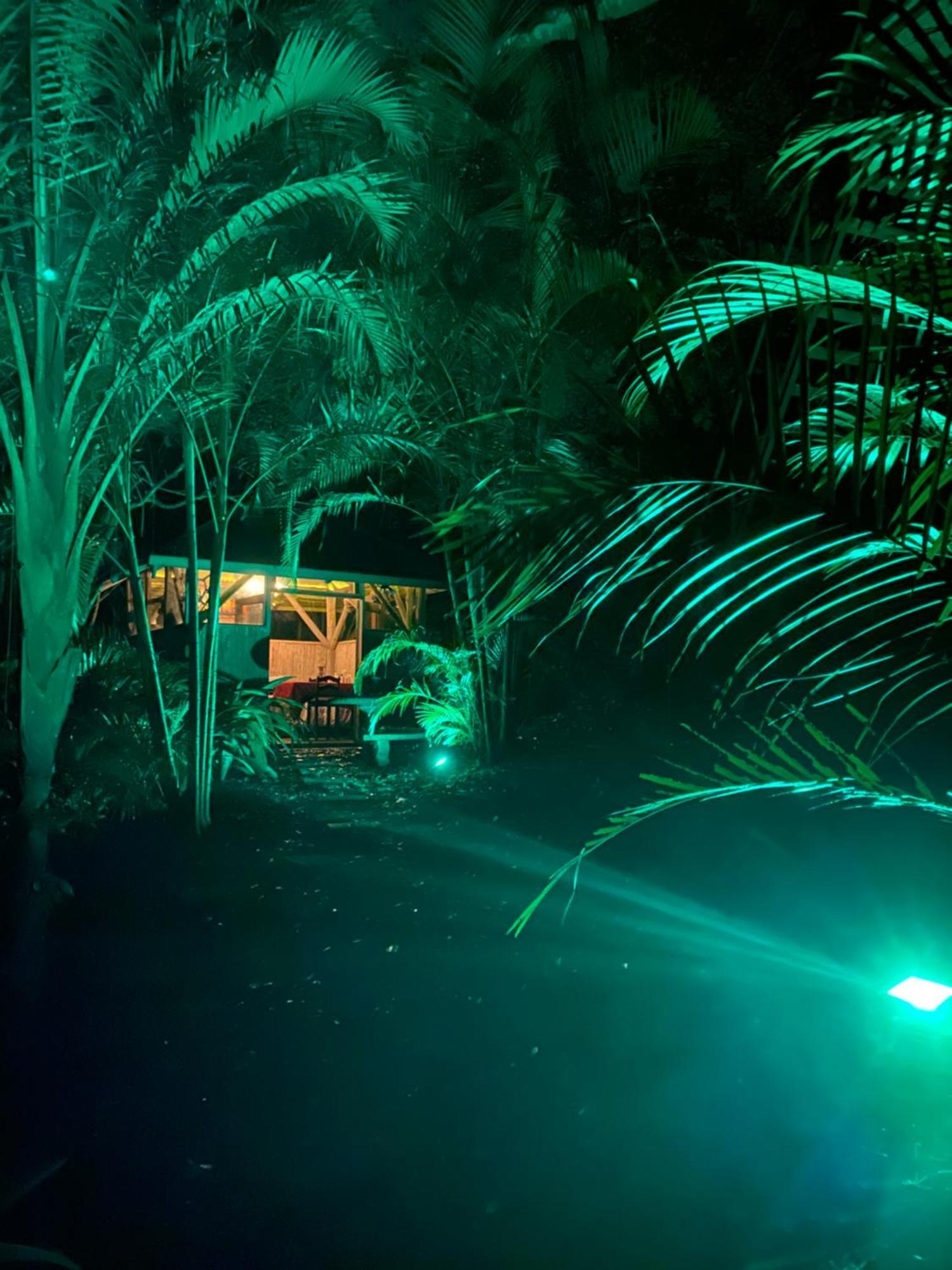 Casa Del Arbol Feel Good Campsite