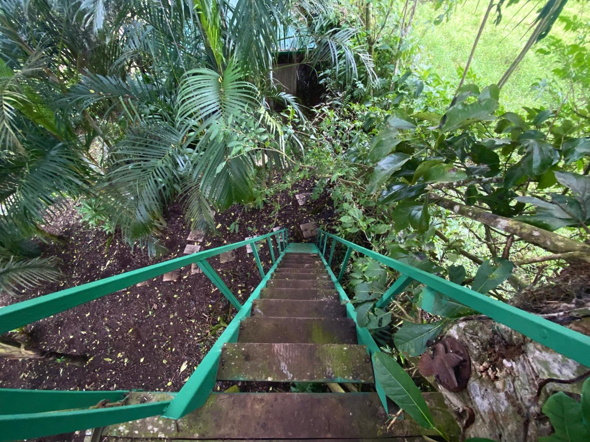 Campsite Casa Del Arbol Feel Good Naranjo (Alajuela)