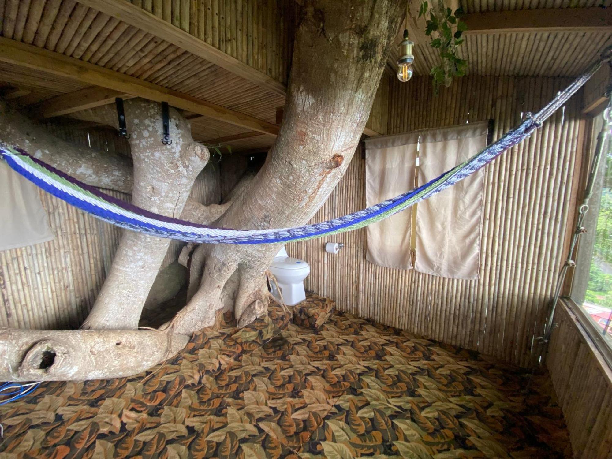 Casa Del Arbol Feel Good * Naranjo (Alajuela)