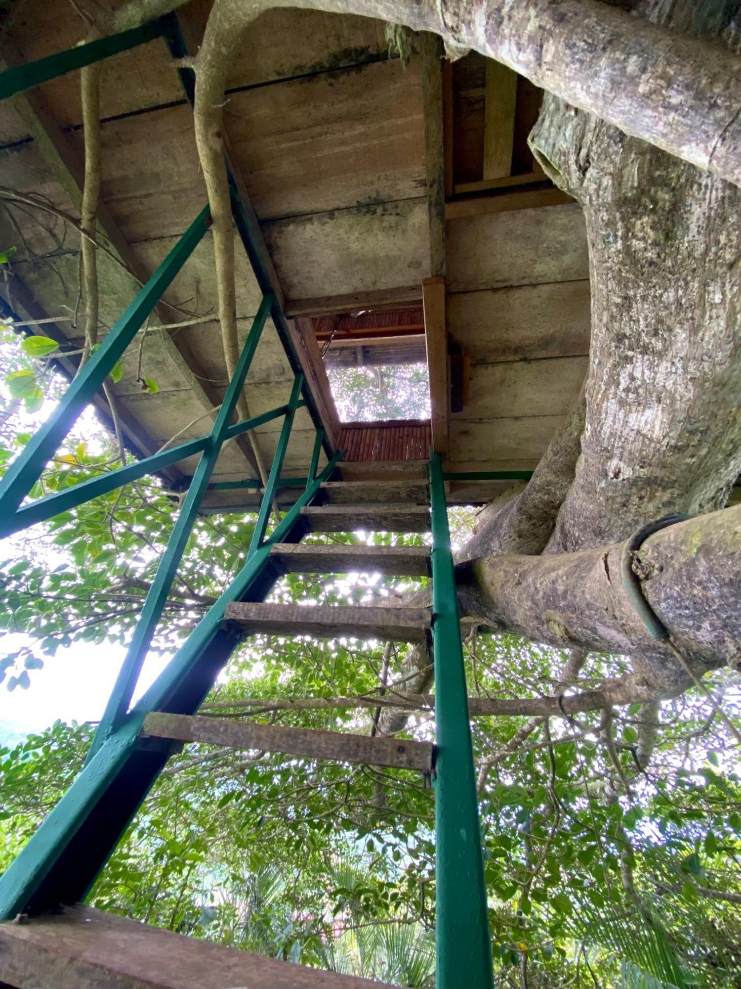 Casa Del Arbol Feel Good Campsite *