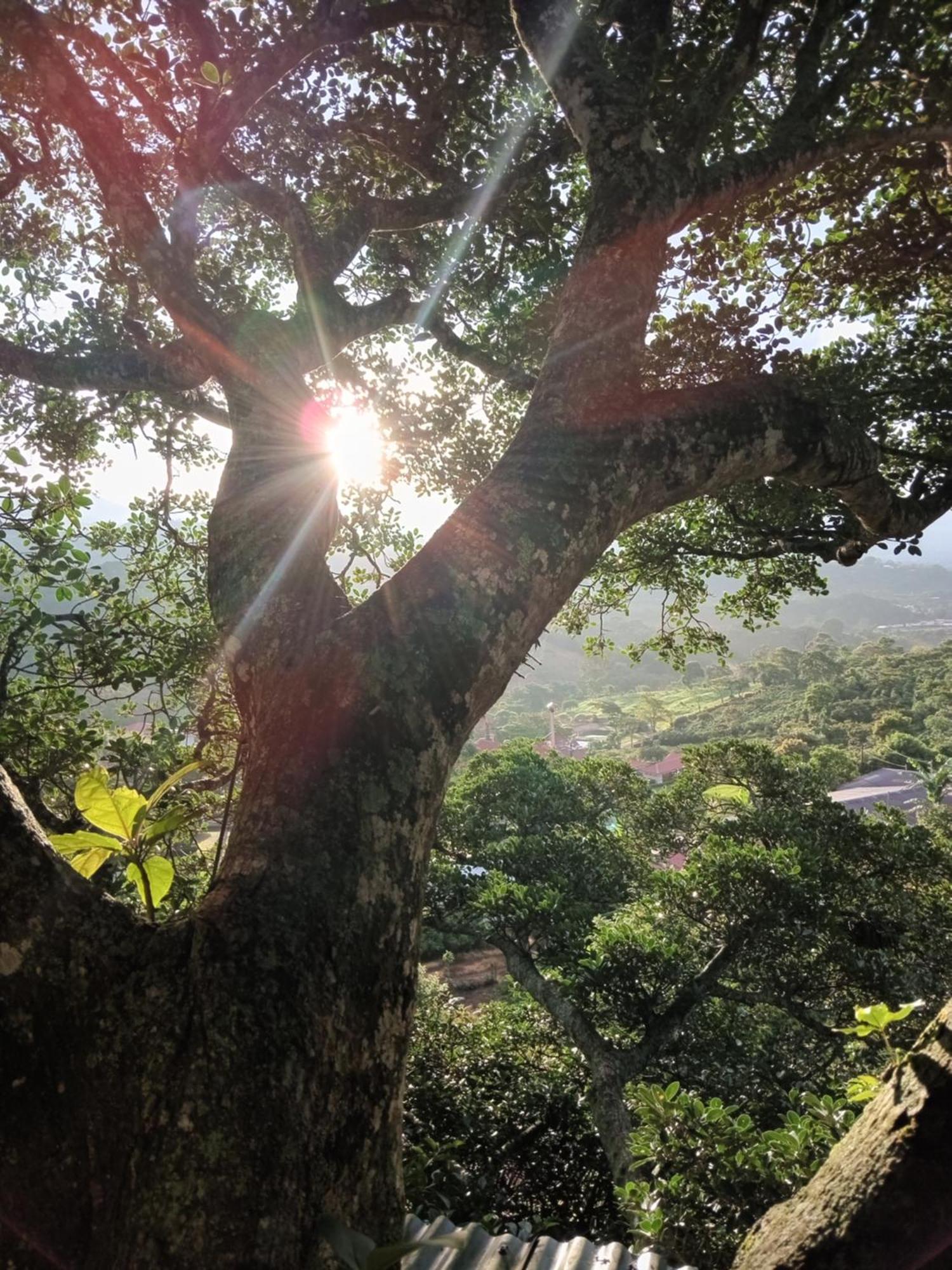 Casa Del Arbol Feel Good Campsite *