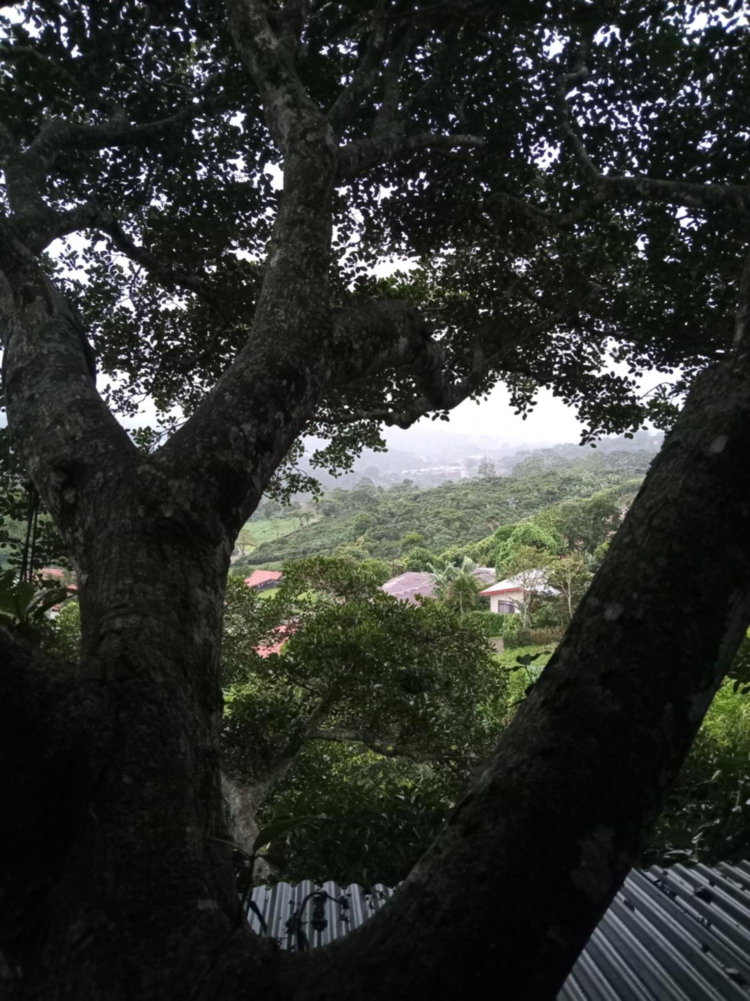 Casa Del Arbol Feel Good Campsite *